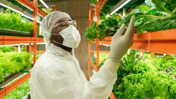 International Series On Food Science Frontiers